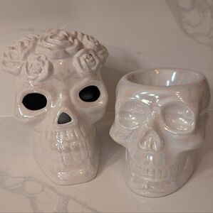 🎉 SALE 🎉 Ashland Halloween Skulls